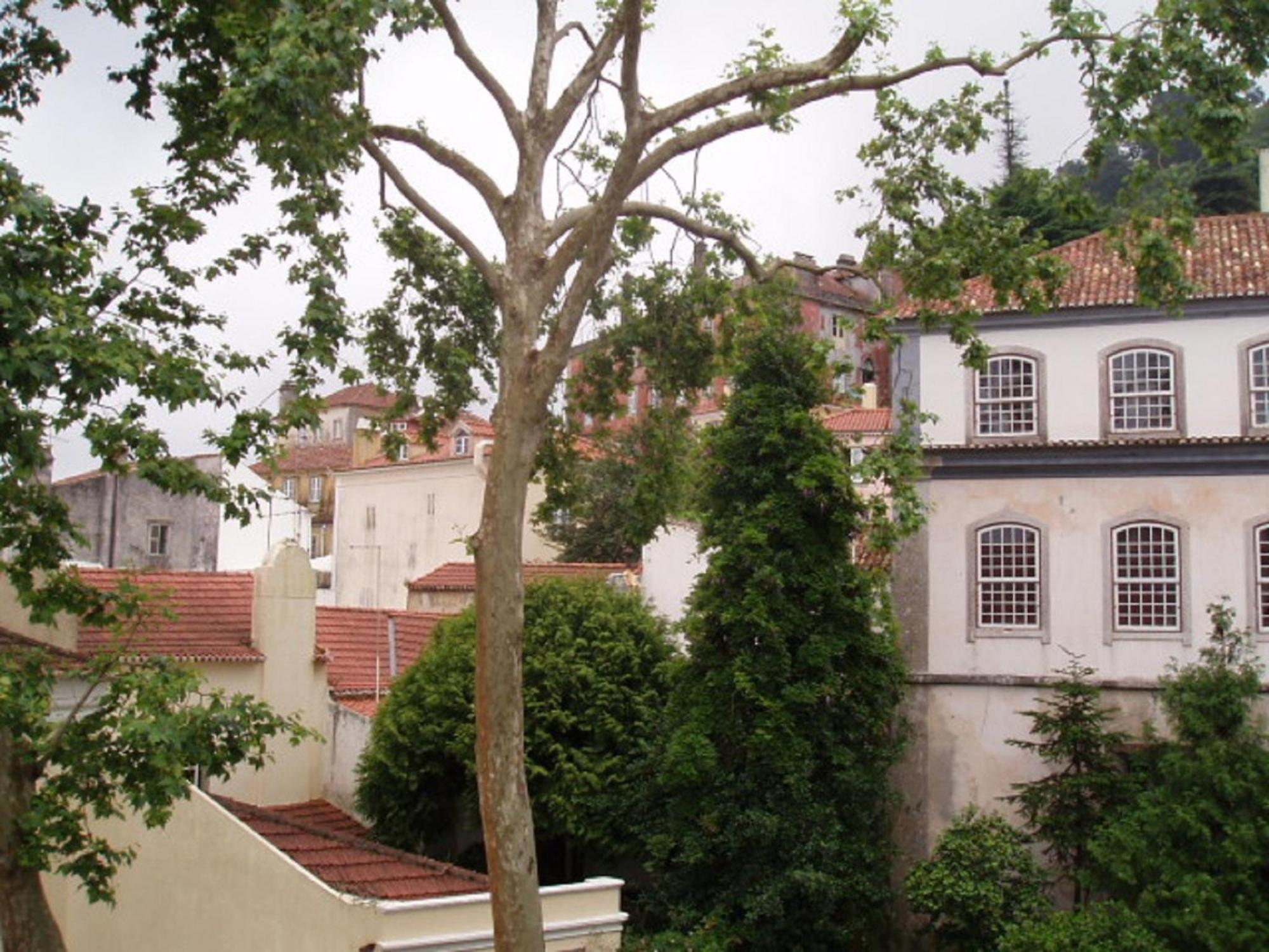 Espaco Edla Sintra Exteriör bild
